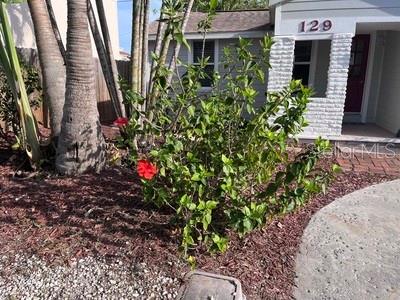 129 94th Avenue, FL