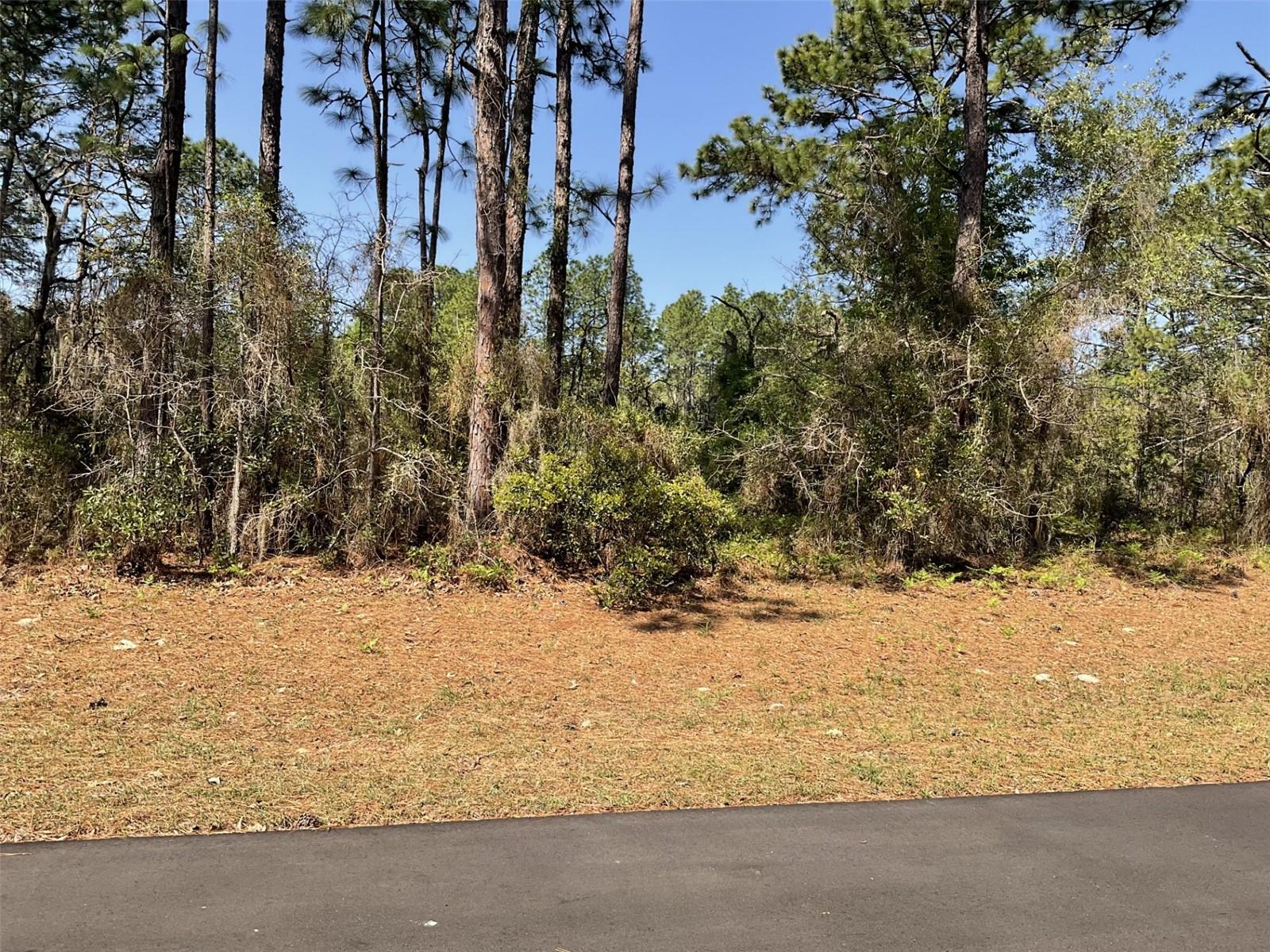 Undetermined, FL