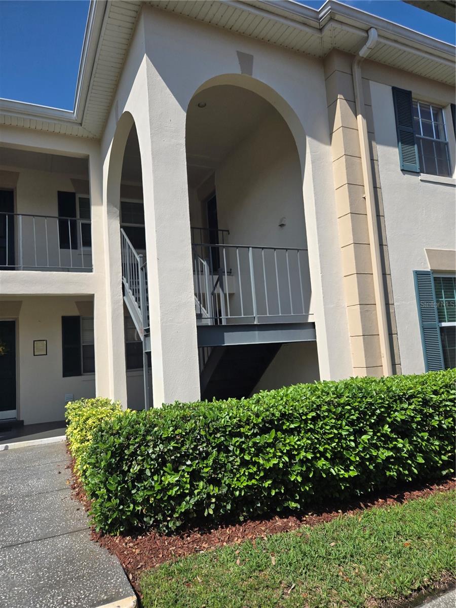 10342 Carrollwood Lane, FL