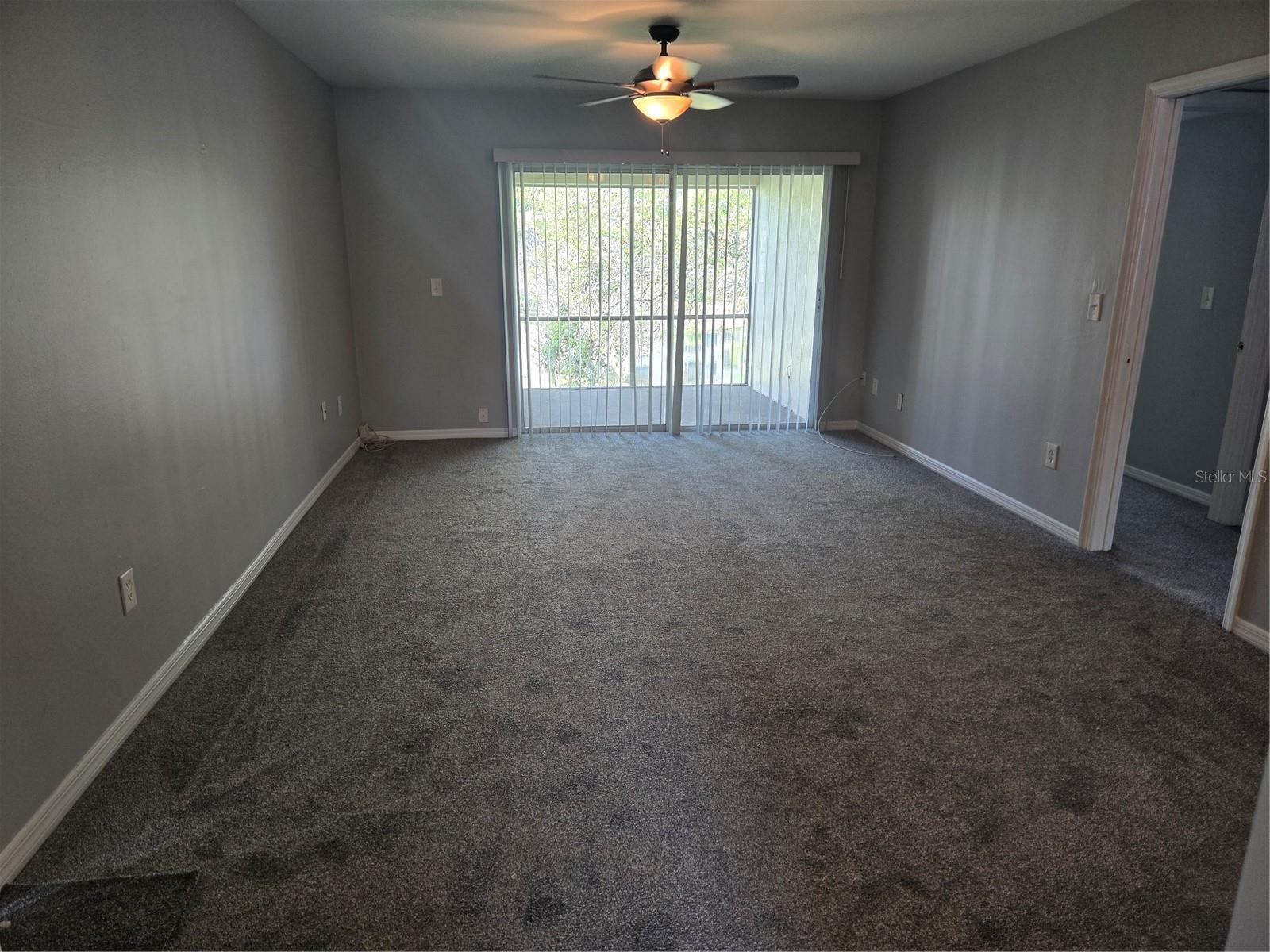 10342 Carrollwood Lane, FL