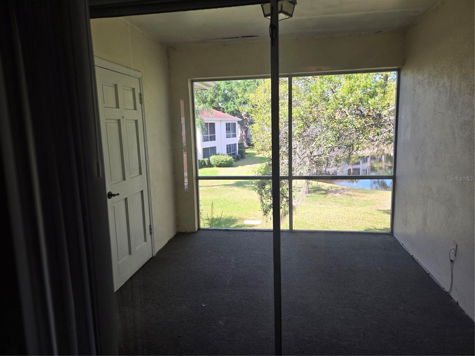 10342 Carrollwood Lane, FL