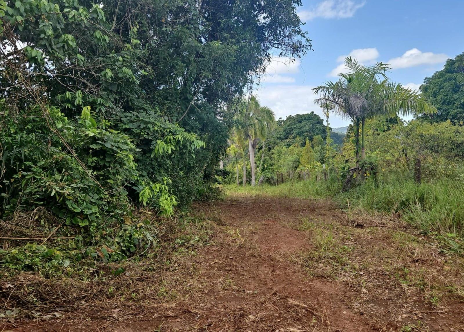 14, Camino Frank Ortiz Km 12.3, PR