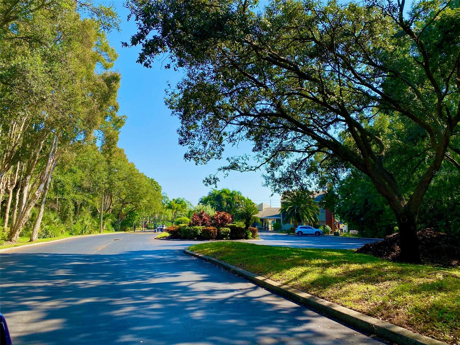 9100 Dr Martin Luther King Jr Street, FL