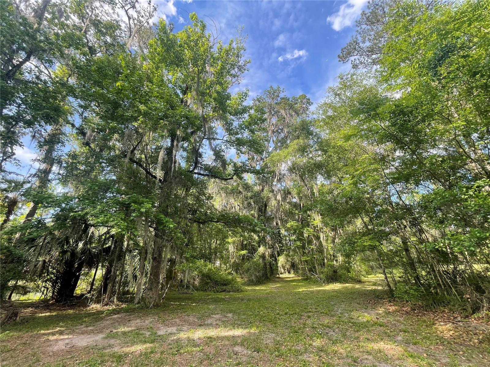 Tbd 46th Street, FL