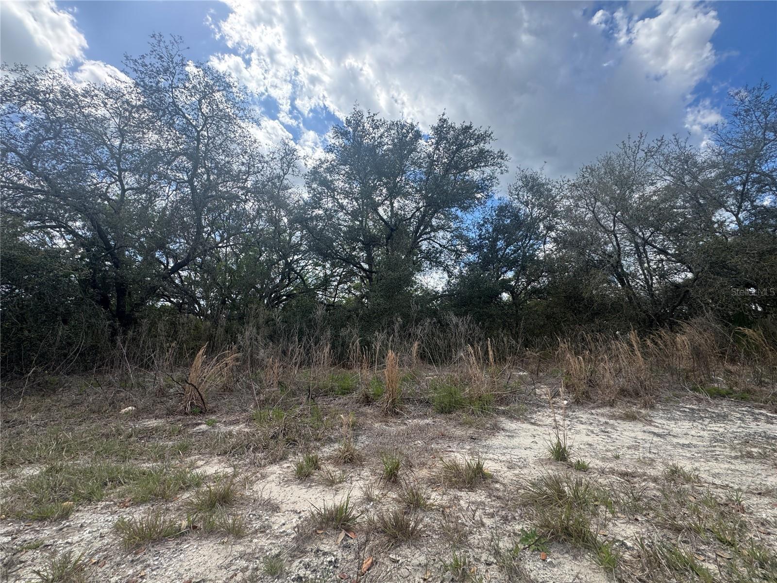 Tbd 131st Terrace, FL