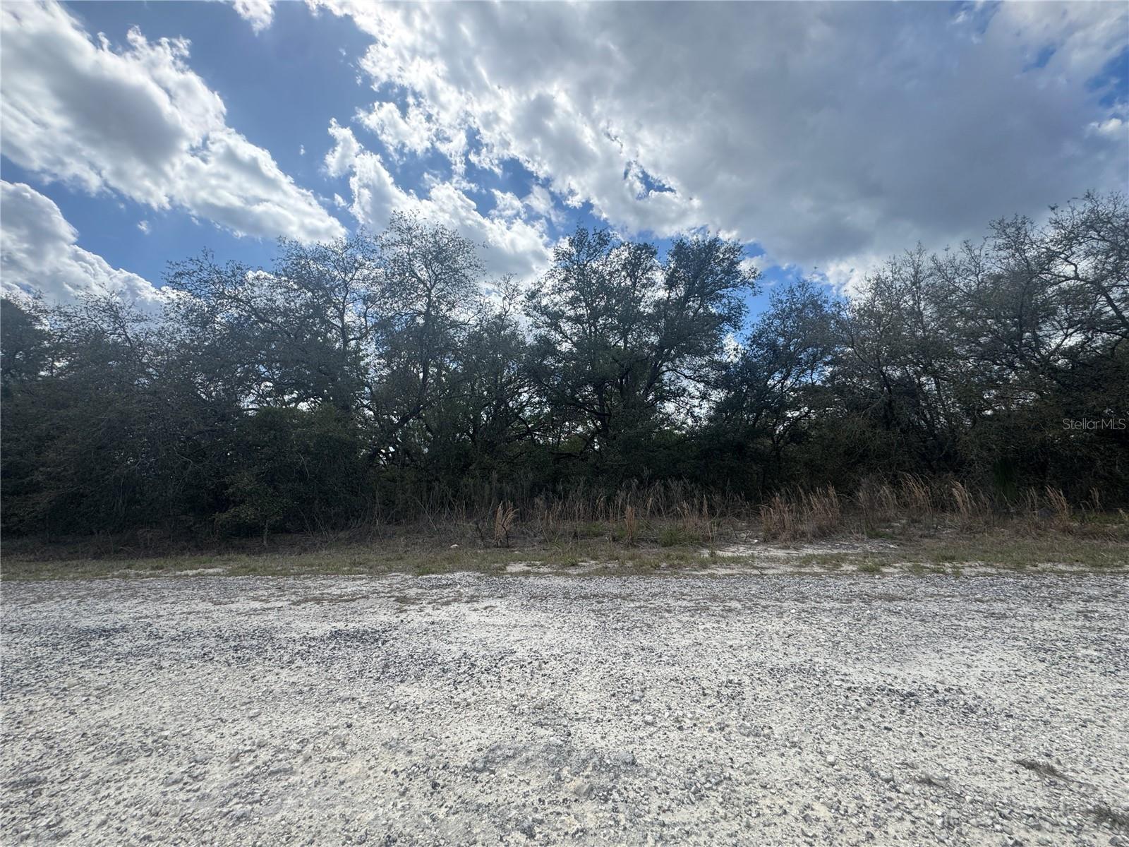 Tbd 131st Terrace, FL