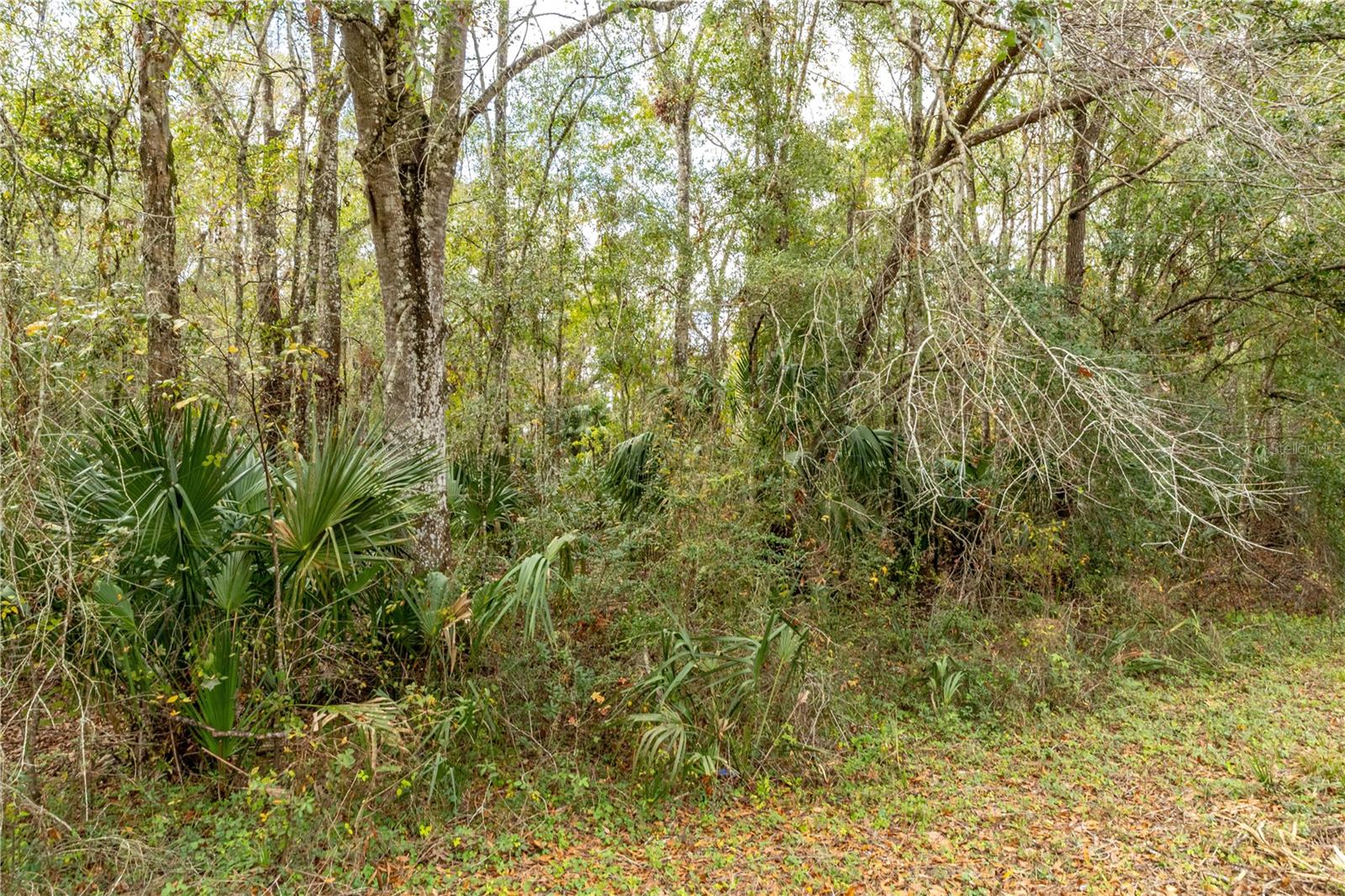 Lake Lindsey Tract 2 Road, FL