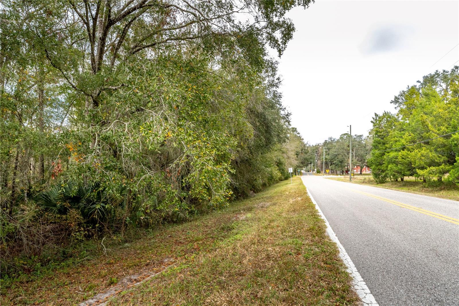 Lake Lindsey Tract 2 Road, FL
