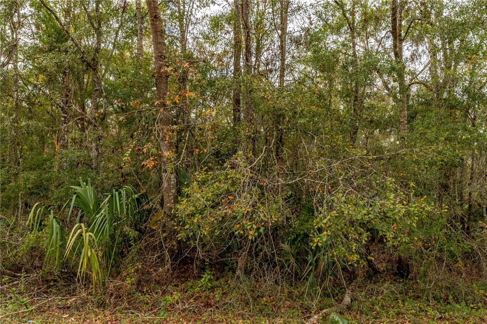 Lake Lindsey Tract 2 Road, FL