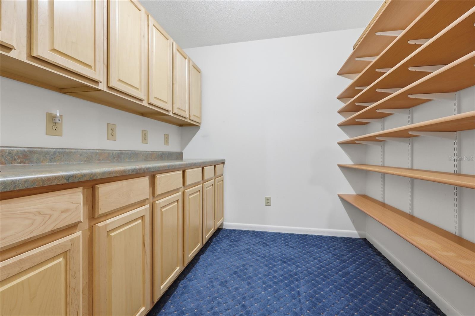 295 Blueberry Place, FL