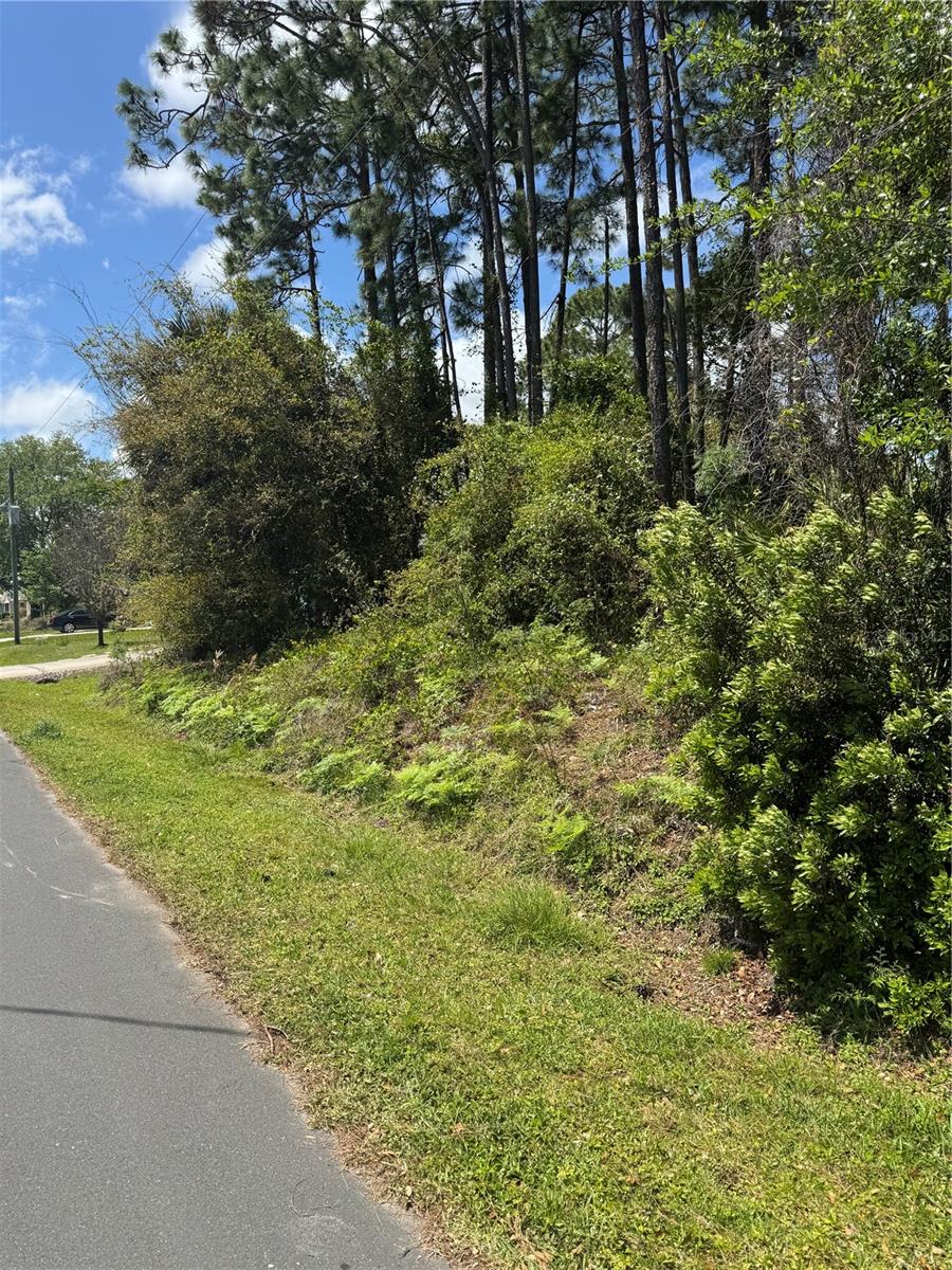 19 Bassett Lane, FL