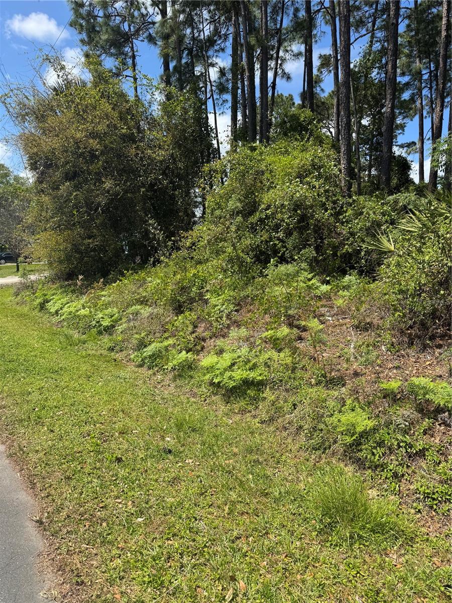 19 Bassett Lane, FL
