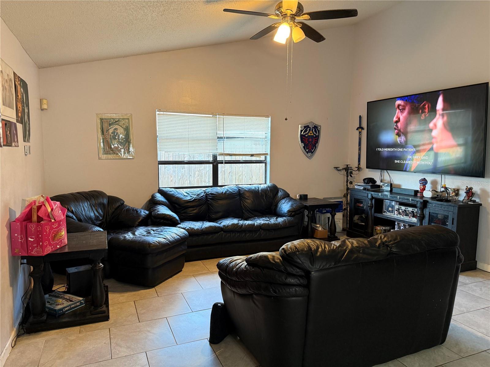 3916 Magnolia Lake Lane, FL