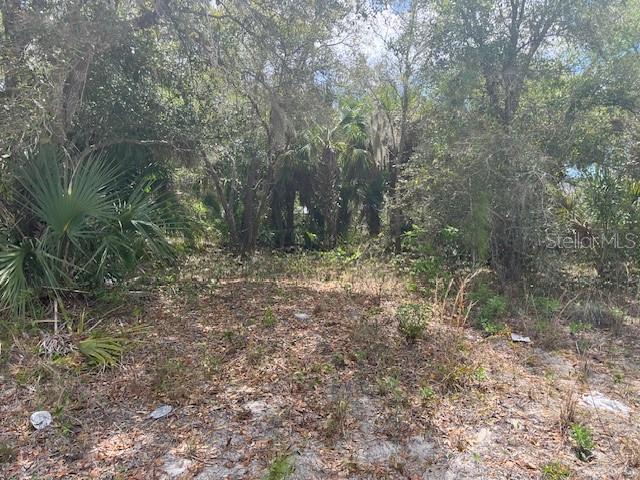 Scottish Terrace, FL