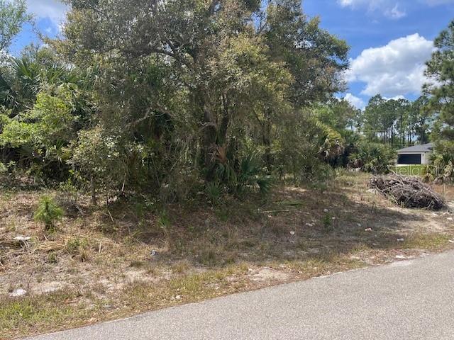 Scottish Terrace, FL