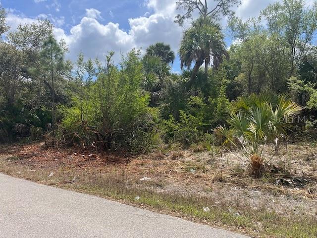 Scottish Terrace, FL