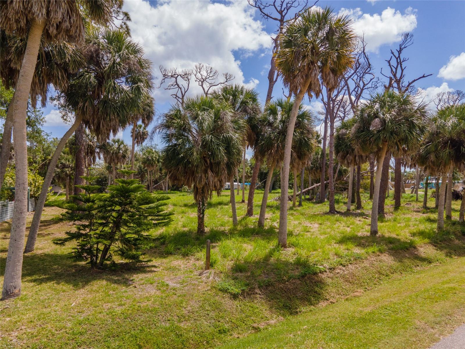 Cowles Street, FL