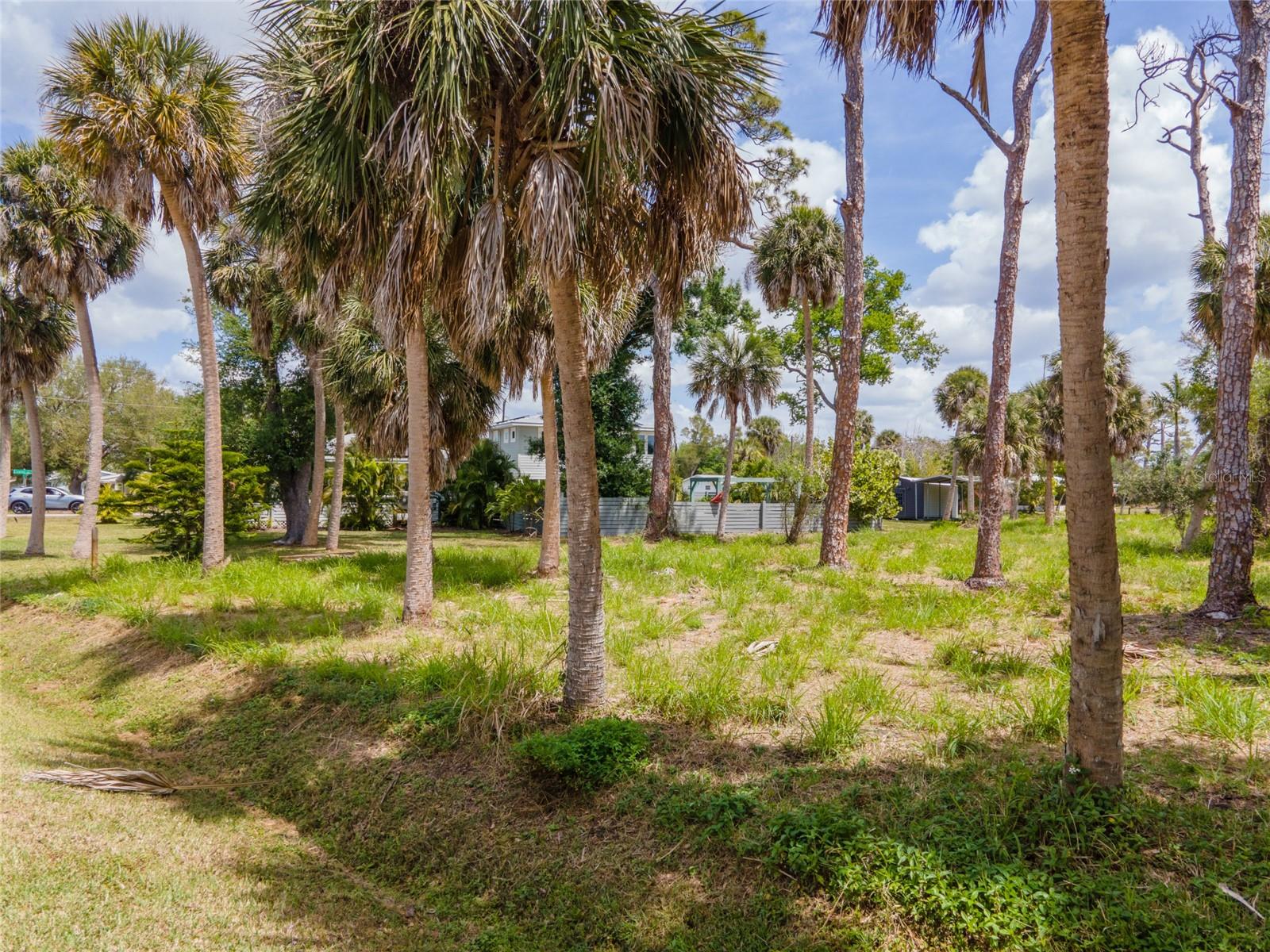 Cowles Street, FL