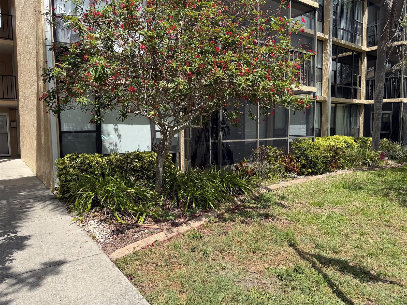 618 Bird Bay Drive, FL