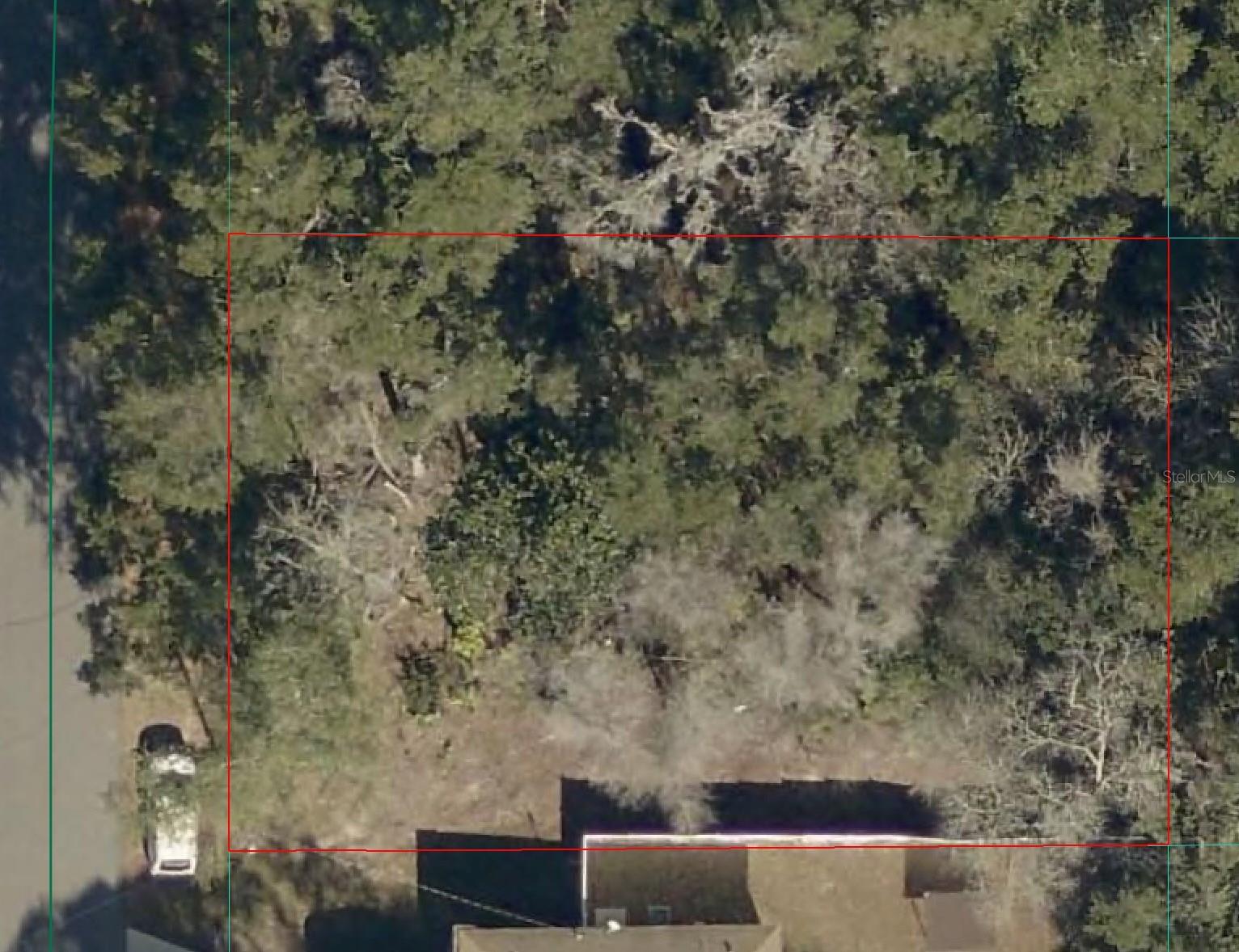Tbd Larch Course, FL