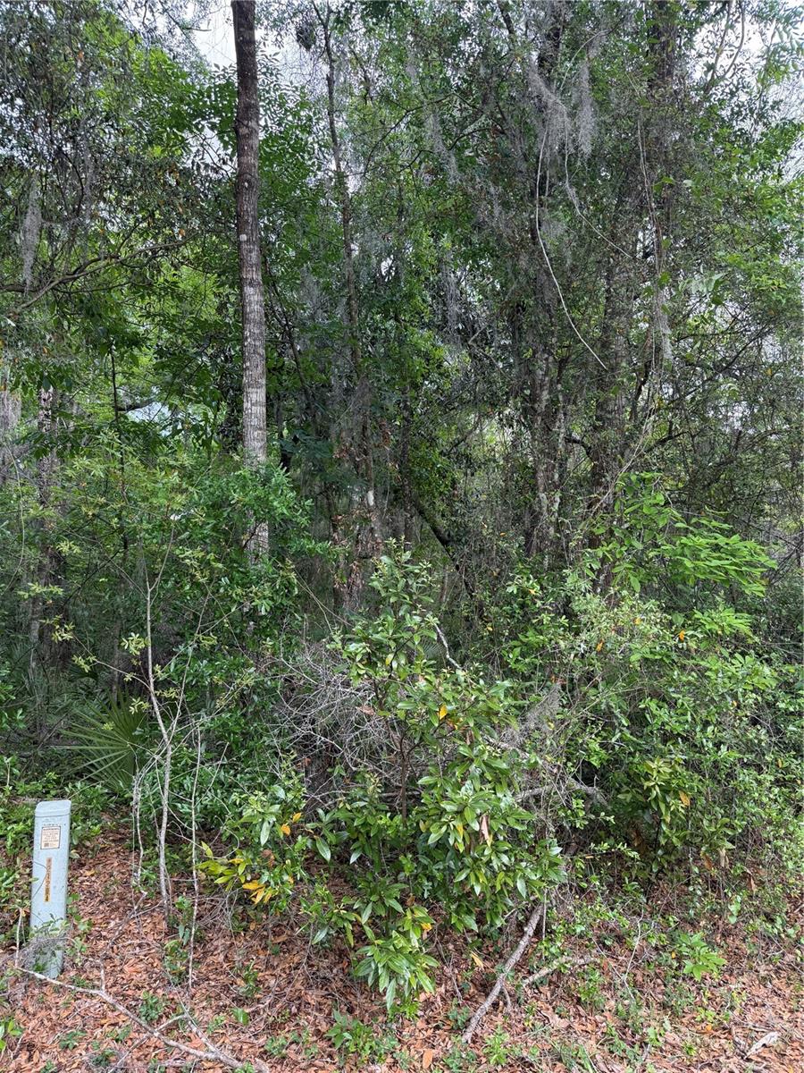 Tbd Larch Course, FL