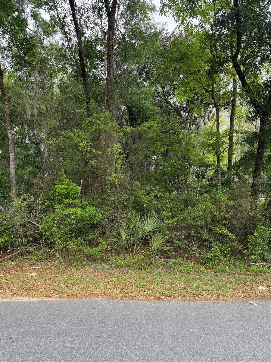 Tbd Larch Course, FL