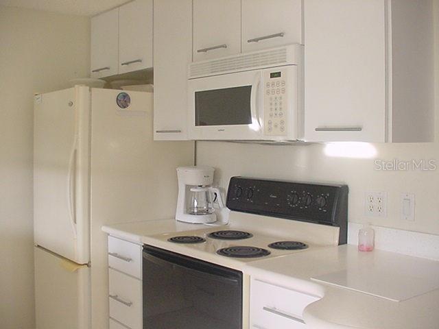 519 Circlewood Drive, FL
