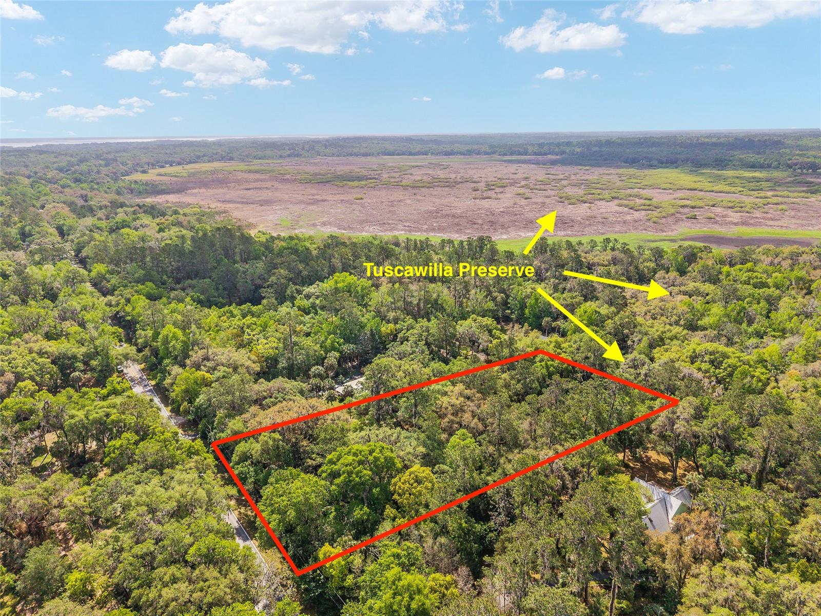 227 Tuscawilla Road, FL
