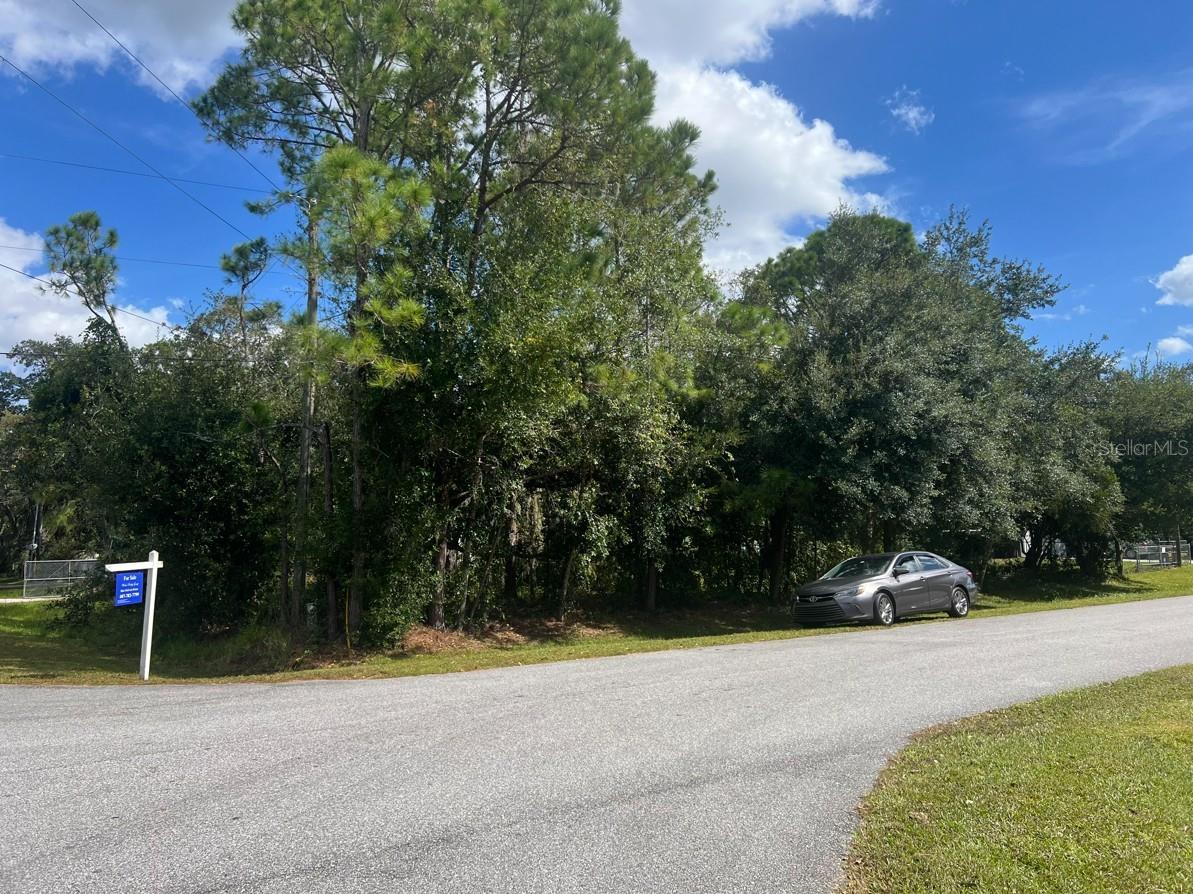 Wauchula Street, FL