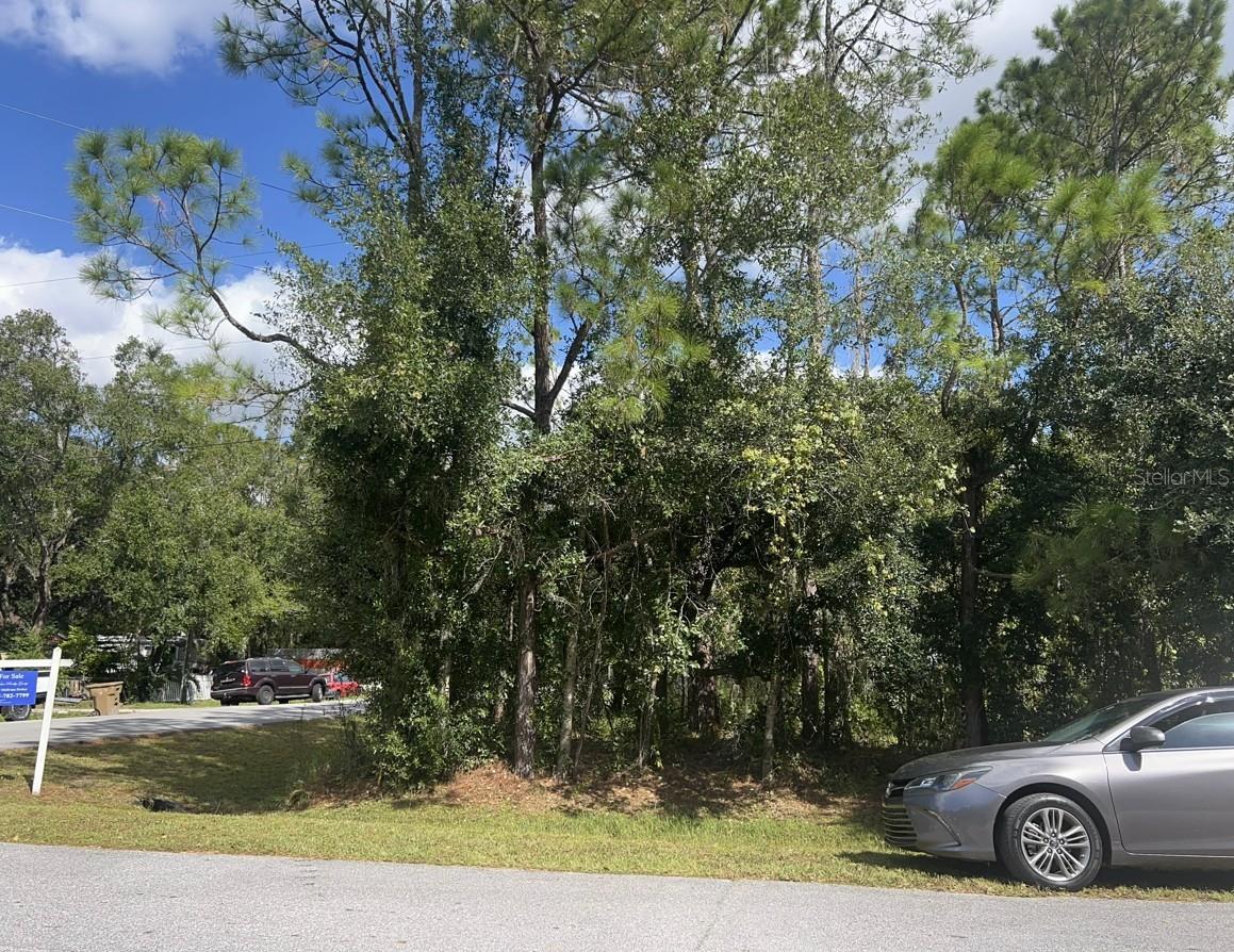 Wauchula Street, FL