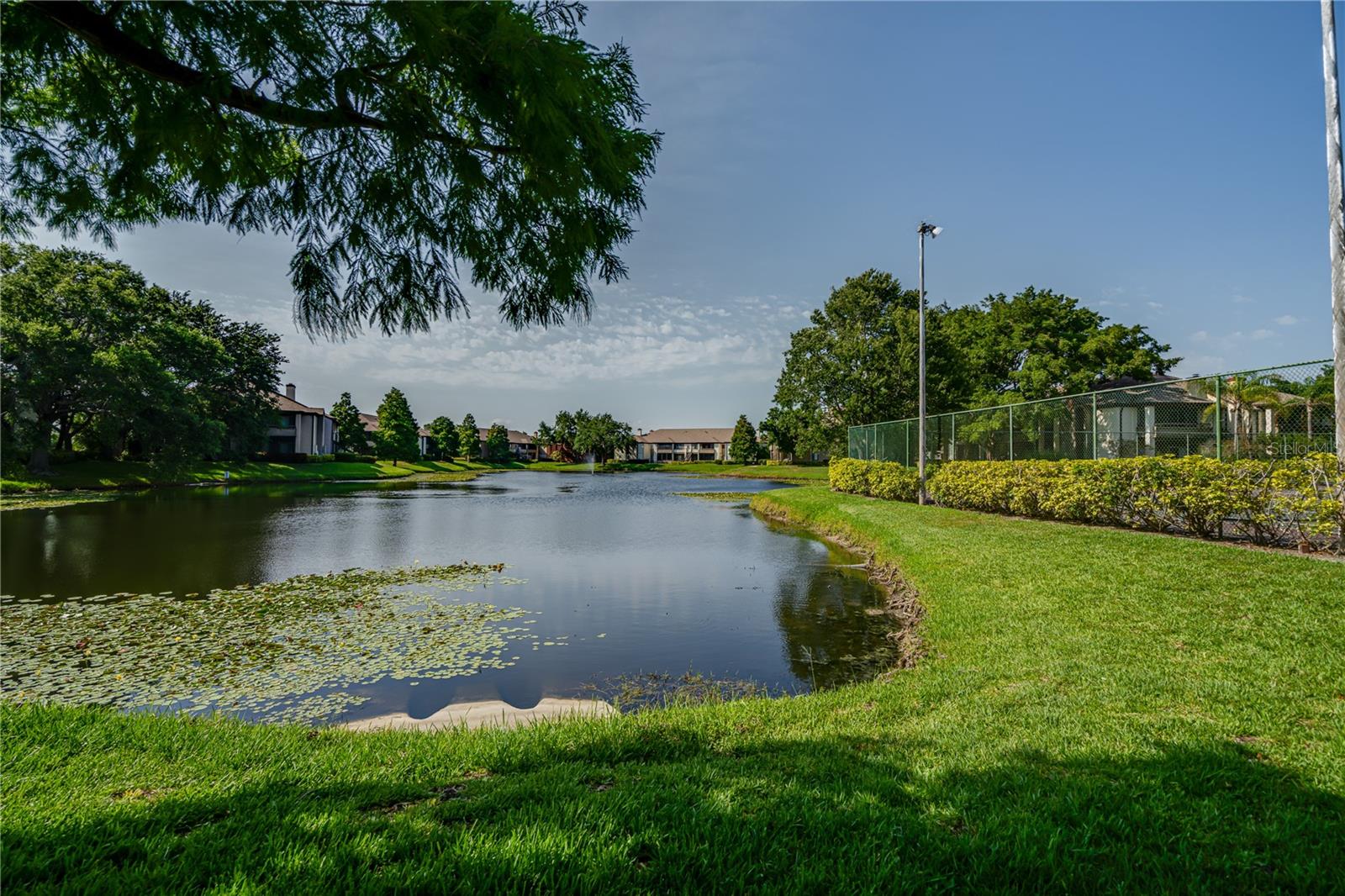 10263 Gandy Boulevard, FL