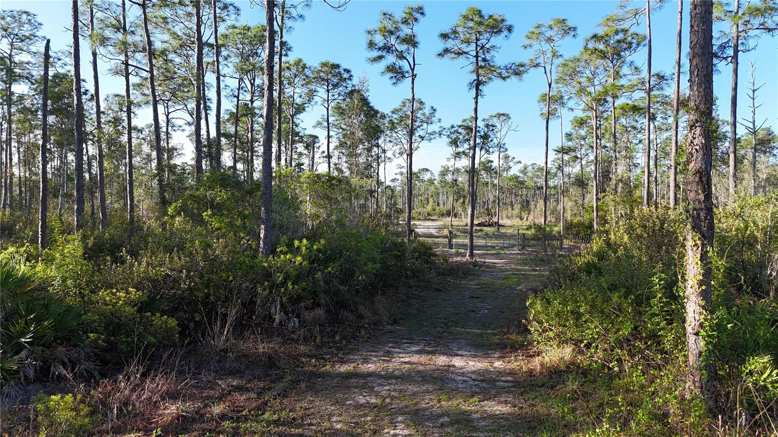 14350 Burnt Store Road, FL