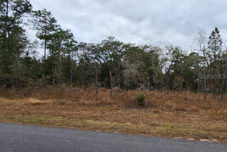 Maleo Road, FL