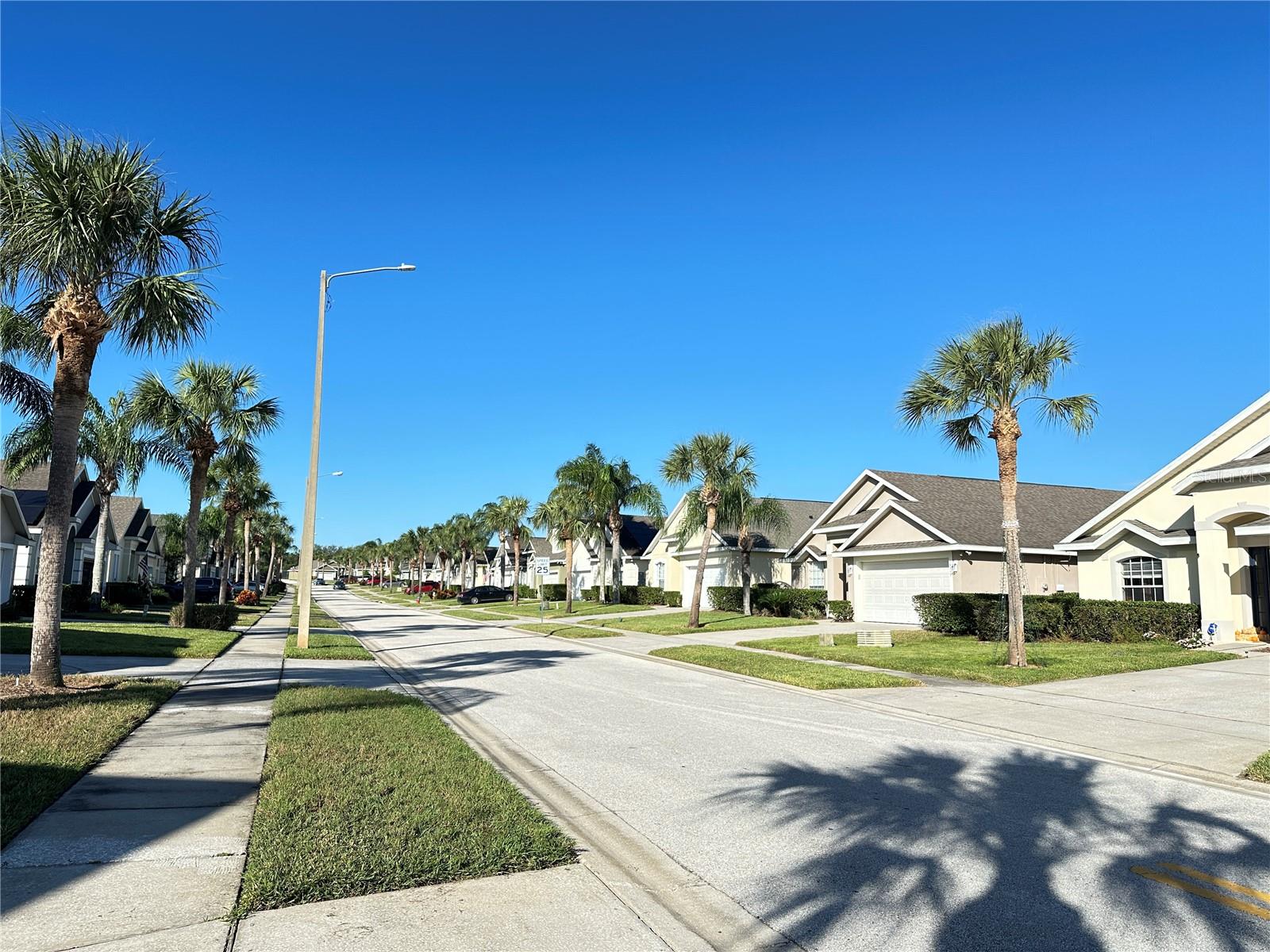 16724 Rolling Green Drive, FL