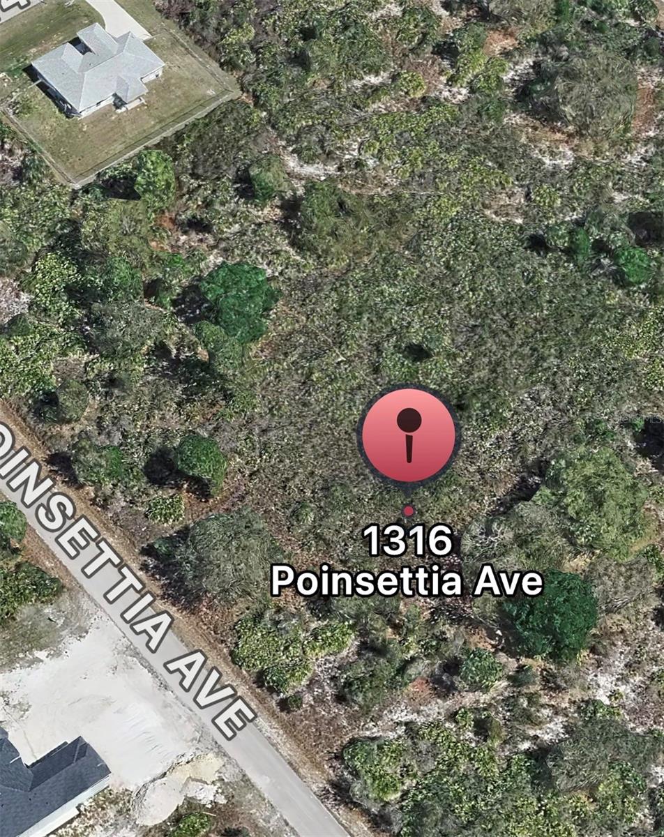1316 Poinsettia Avenue, FL