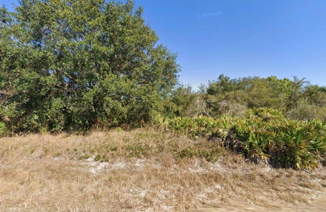 1316 Poinsettia Avenue, FL