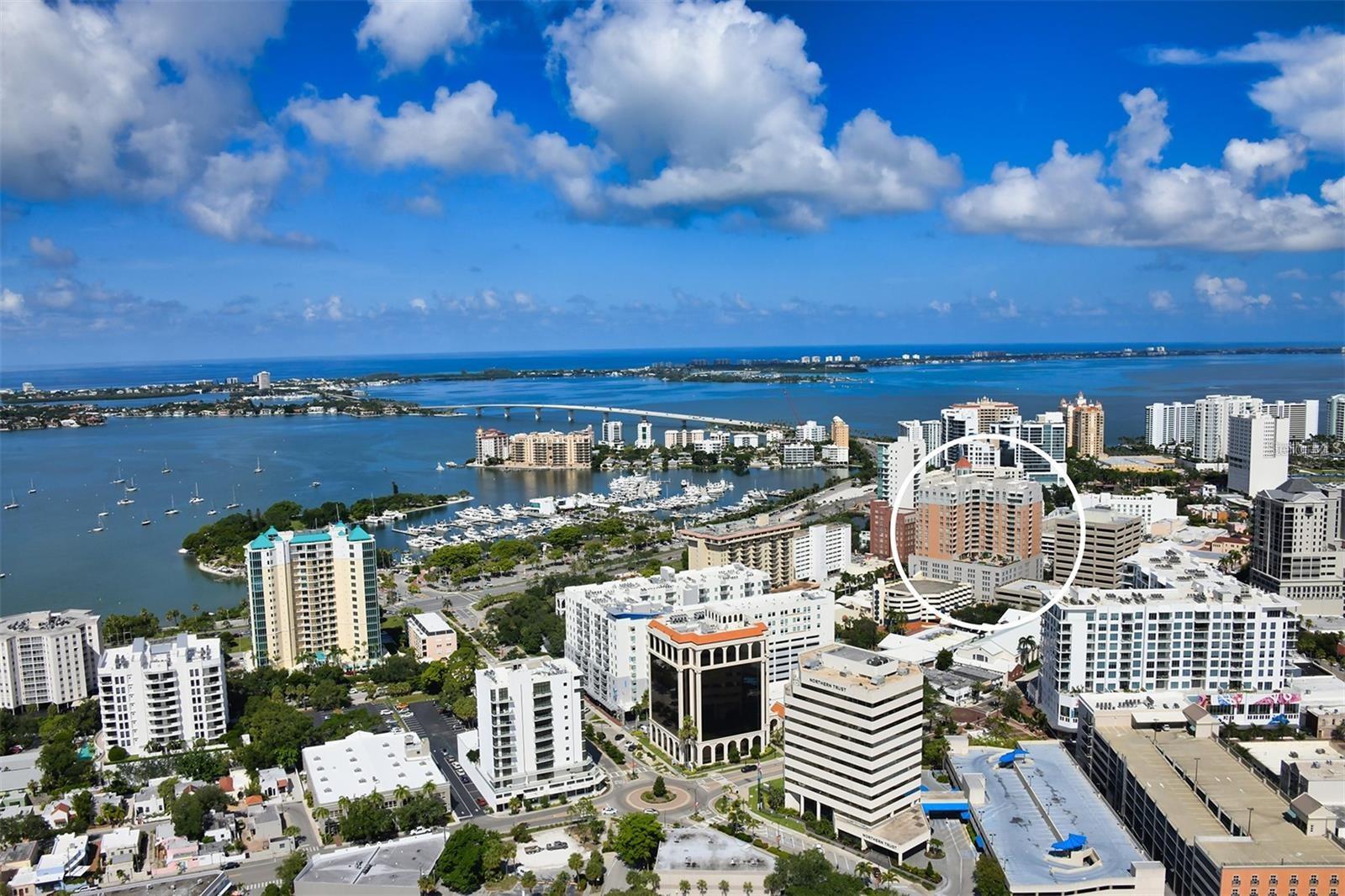 1350 Main Street, FL