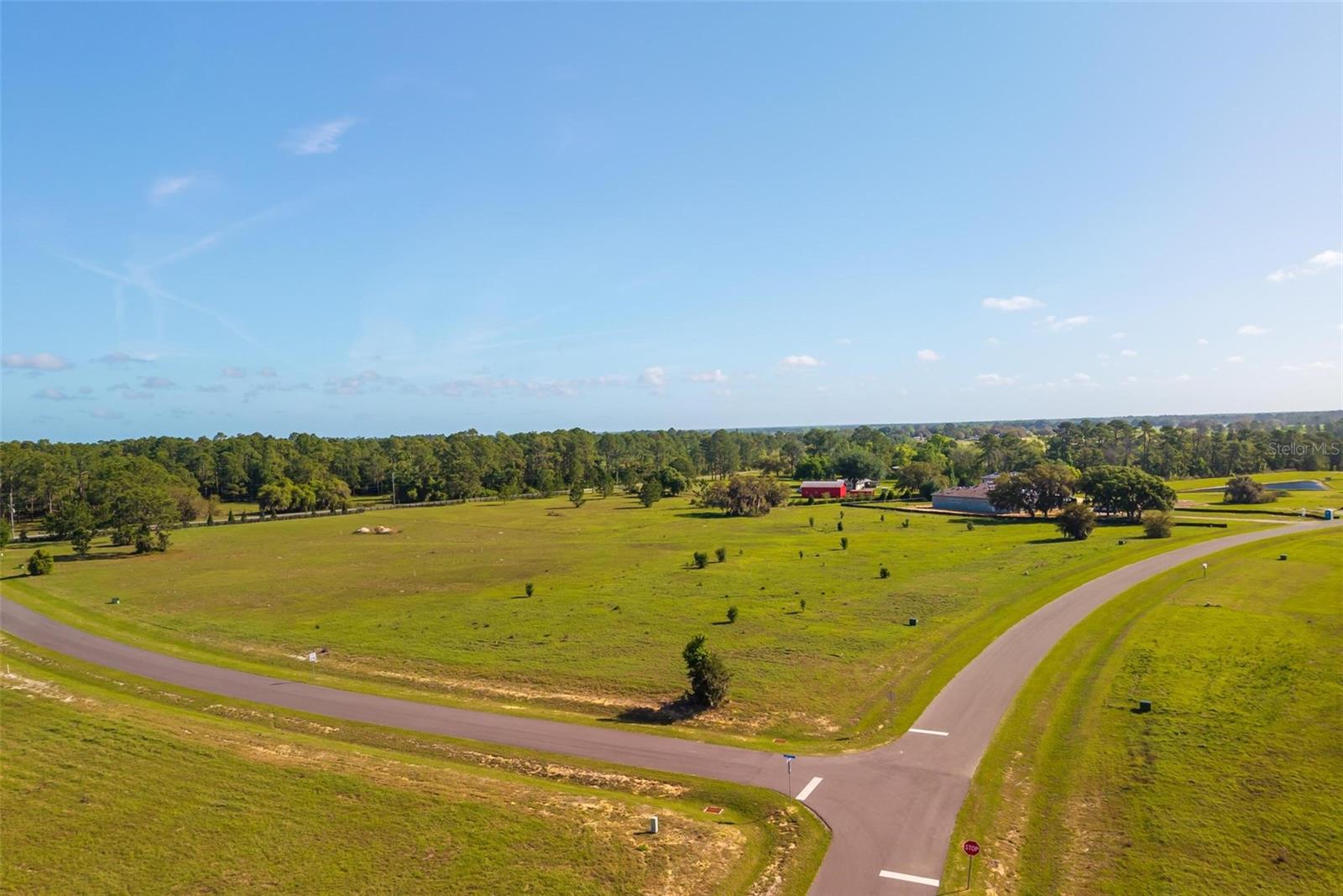 38529 Wooded Meadow Drive, FL