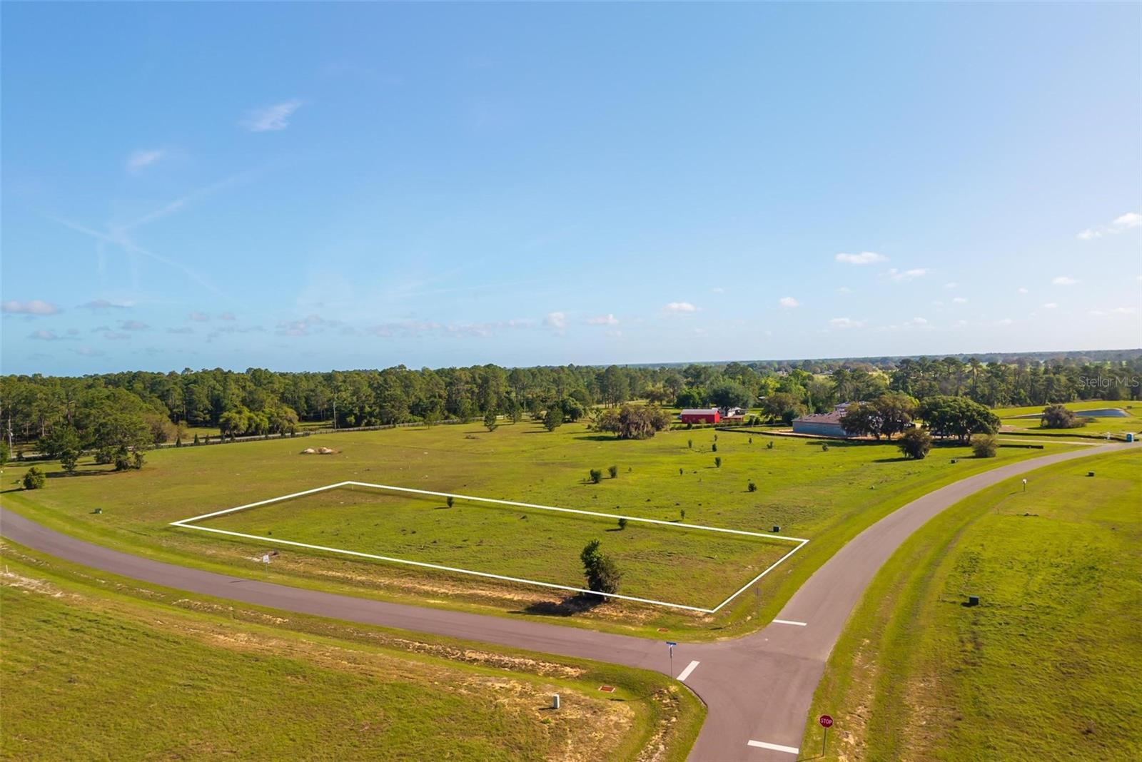 38529 Wooded Meadow Drive, FL