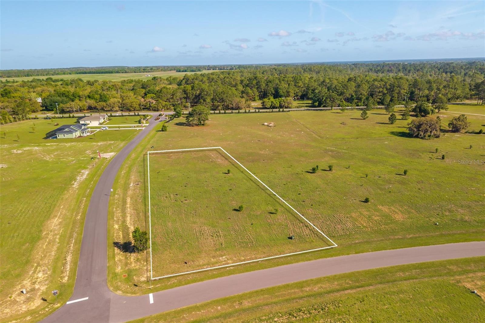 38529 Wooded Meadow Drive, FL