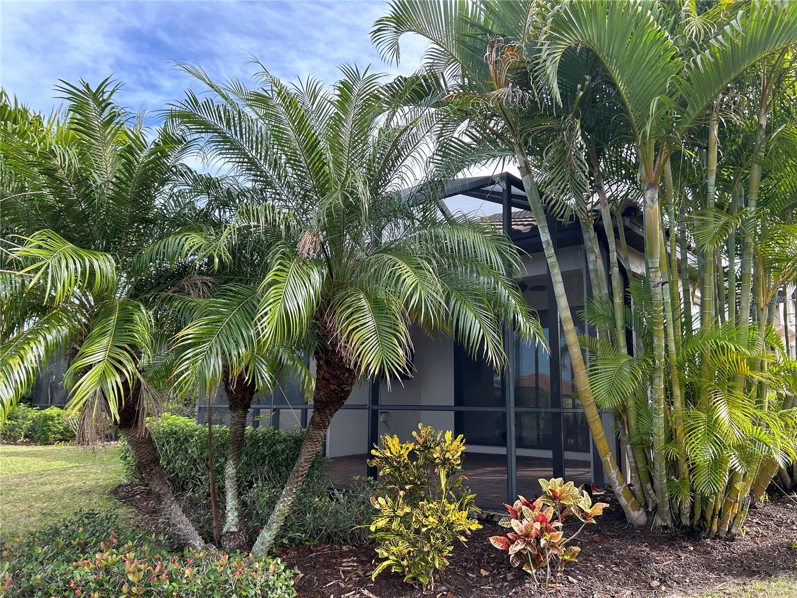 13241 Torresina Terrace, FL
