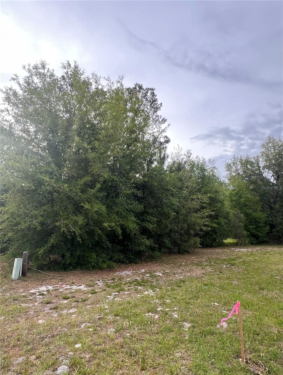 Avenue G, FL