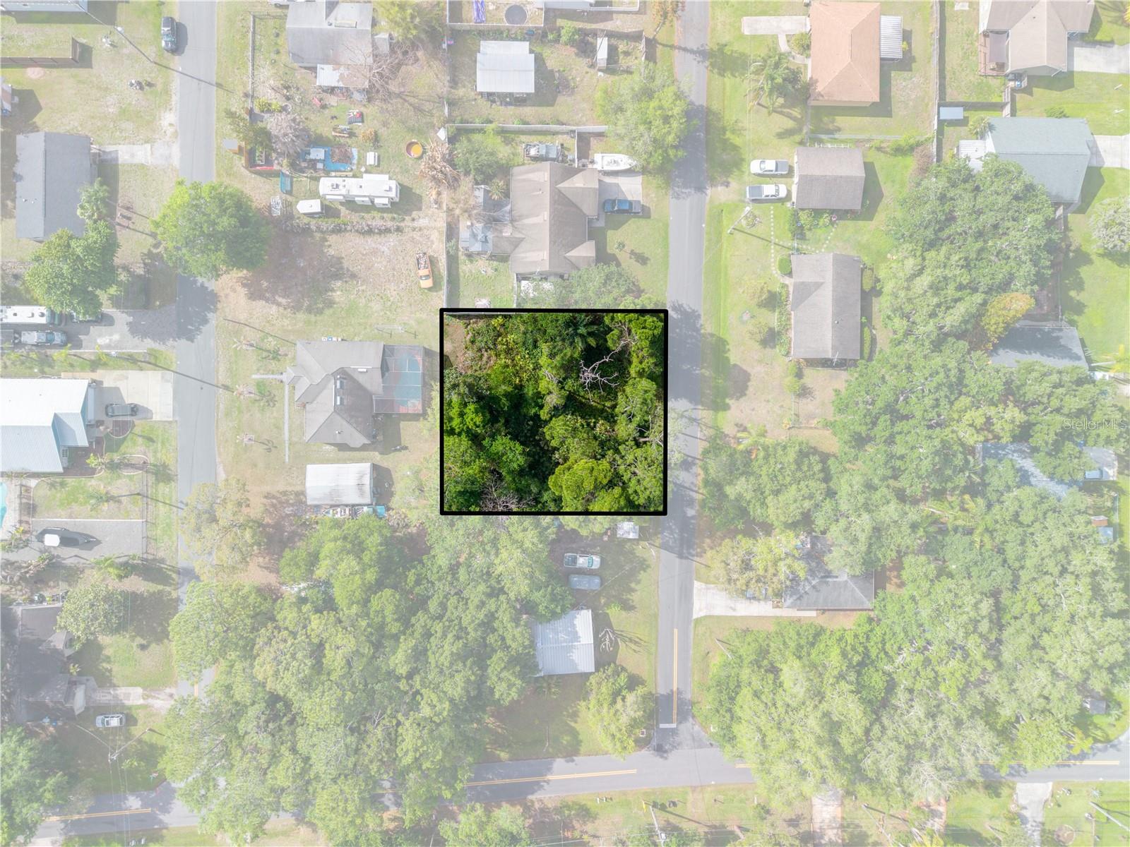 Burton Dr, FL