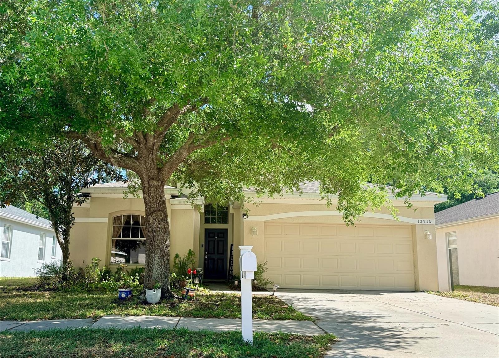 12936 Turnstone Court, FL