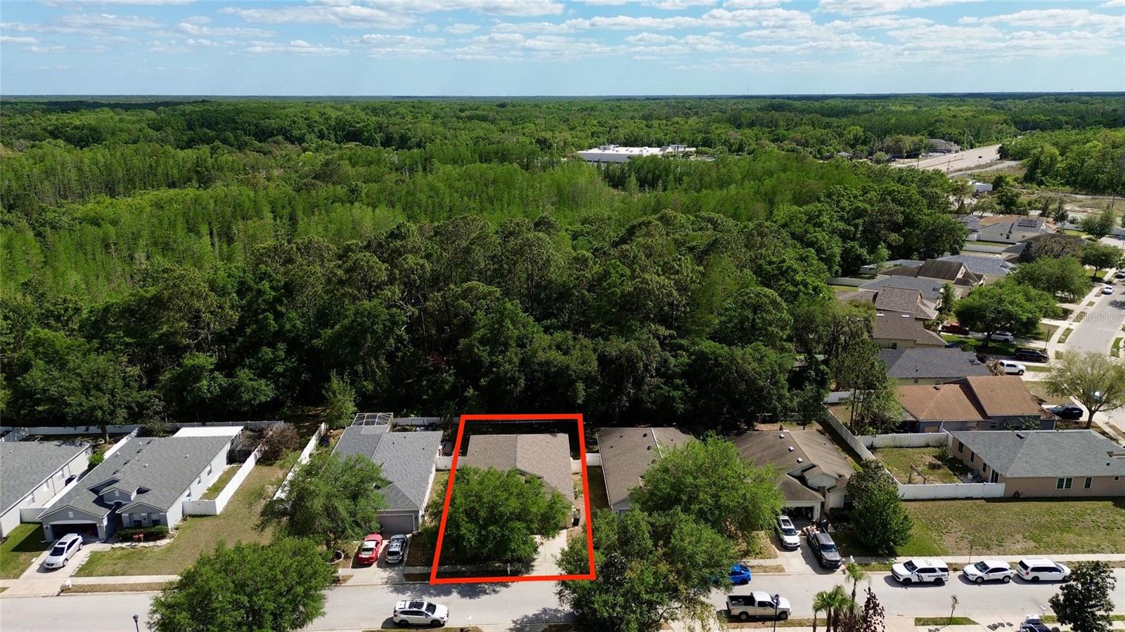 12936 Turnstone Court, FL