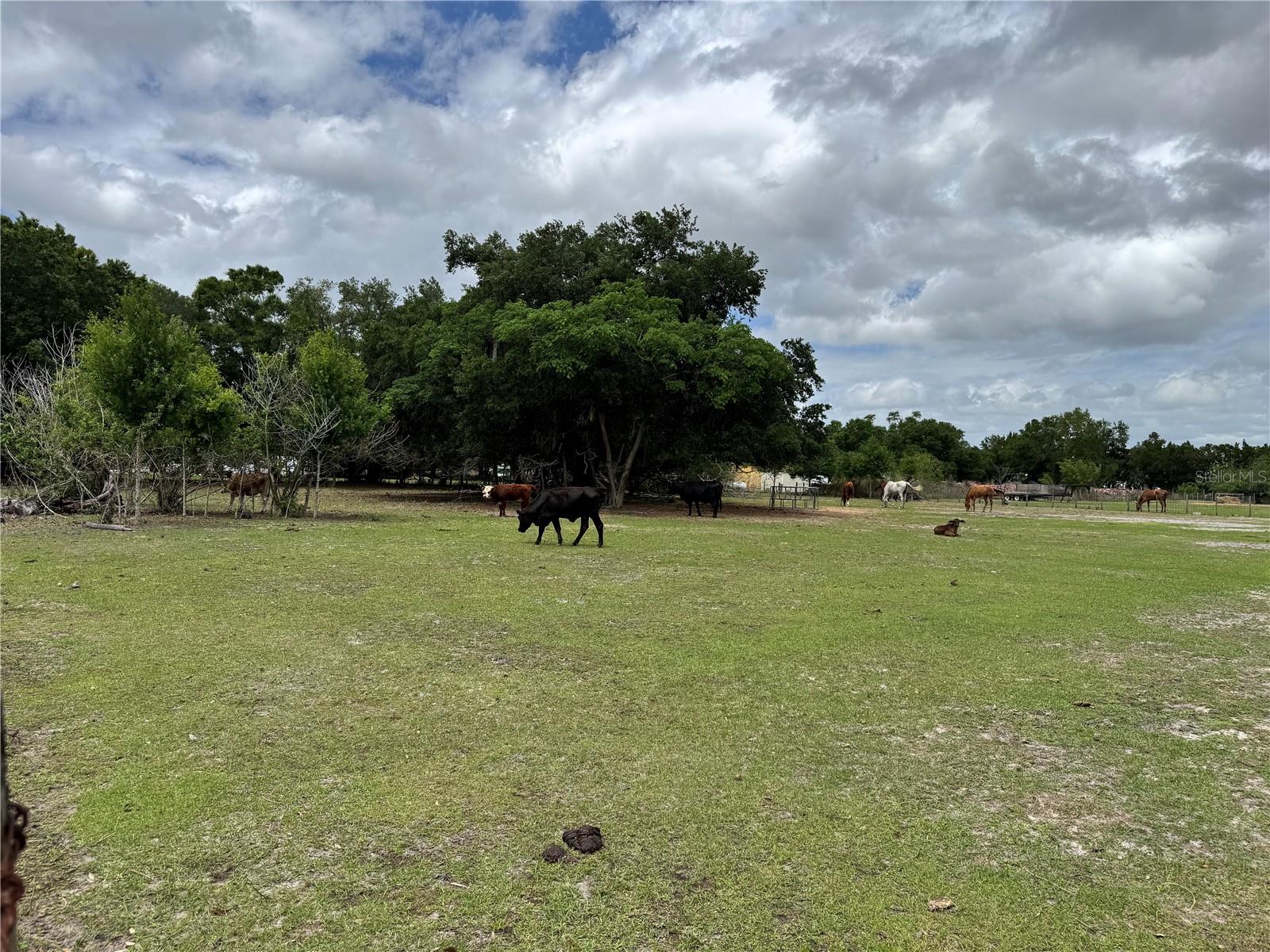 1804 Zipperer Road, FL