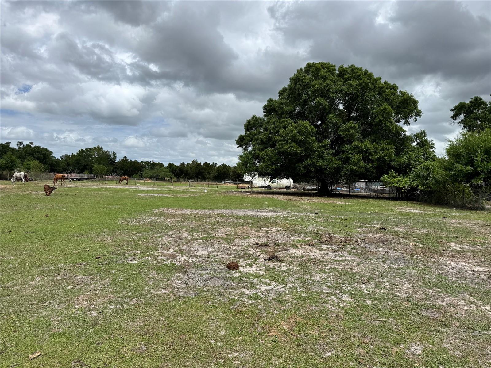 1804 Zipperer Road, FL