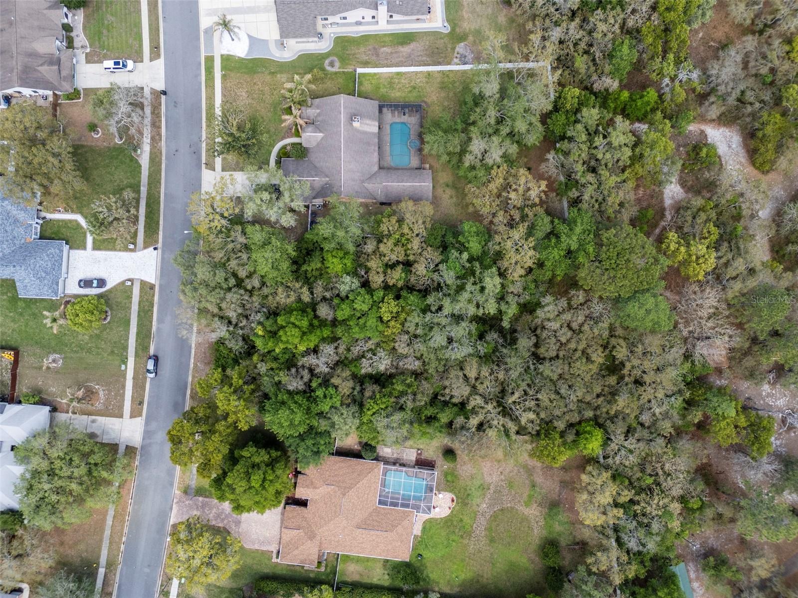Lot 111 Winding Oaks Boulevard, FL