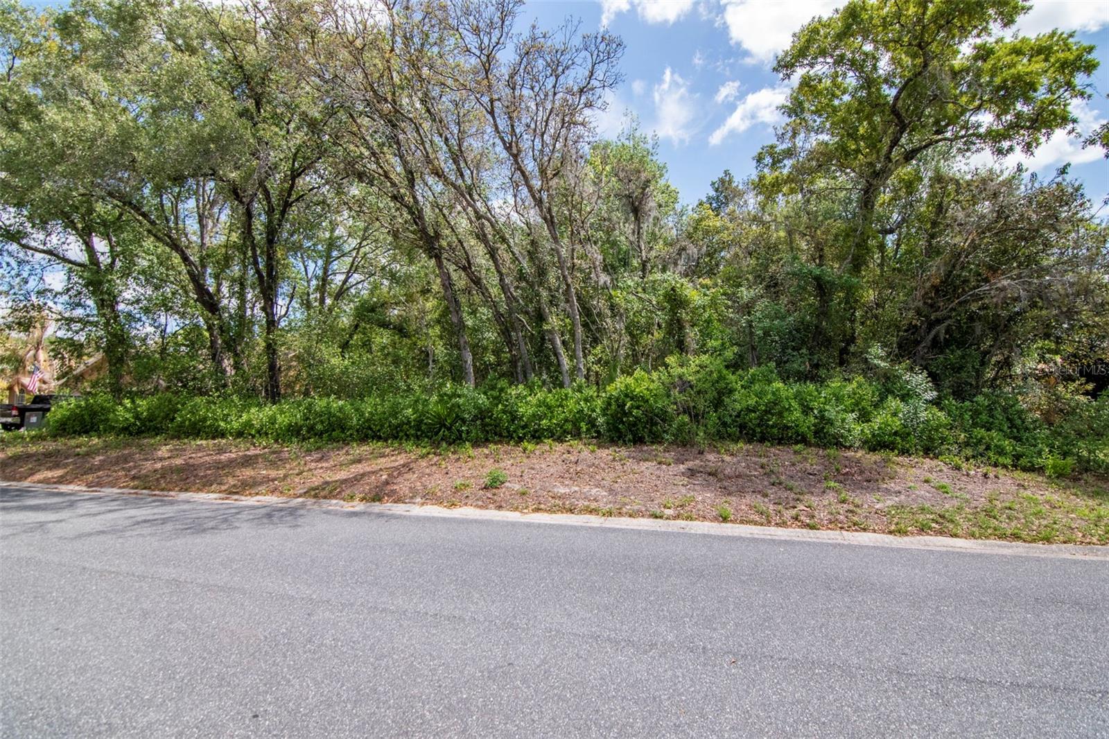 Lot 111 Winding Oaks Boulevard, FL