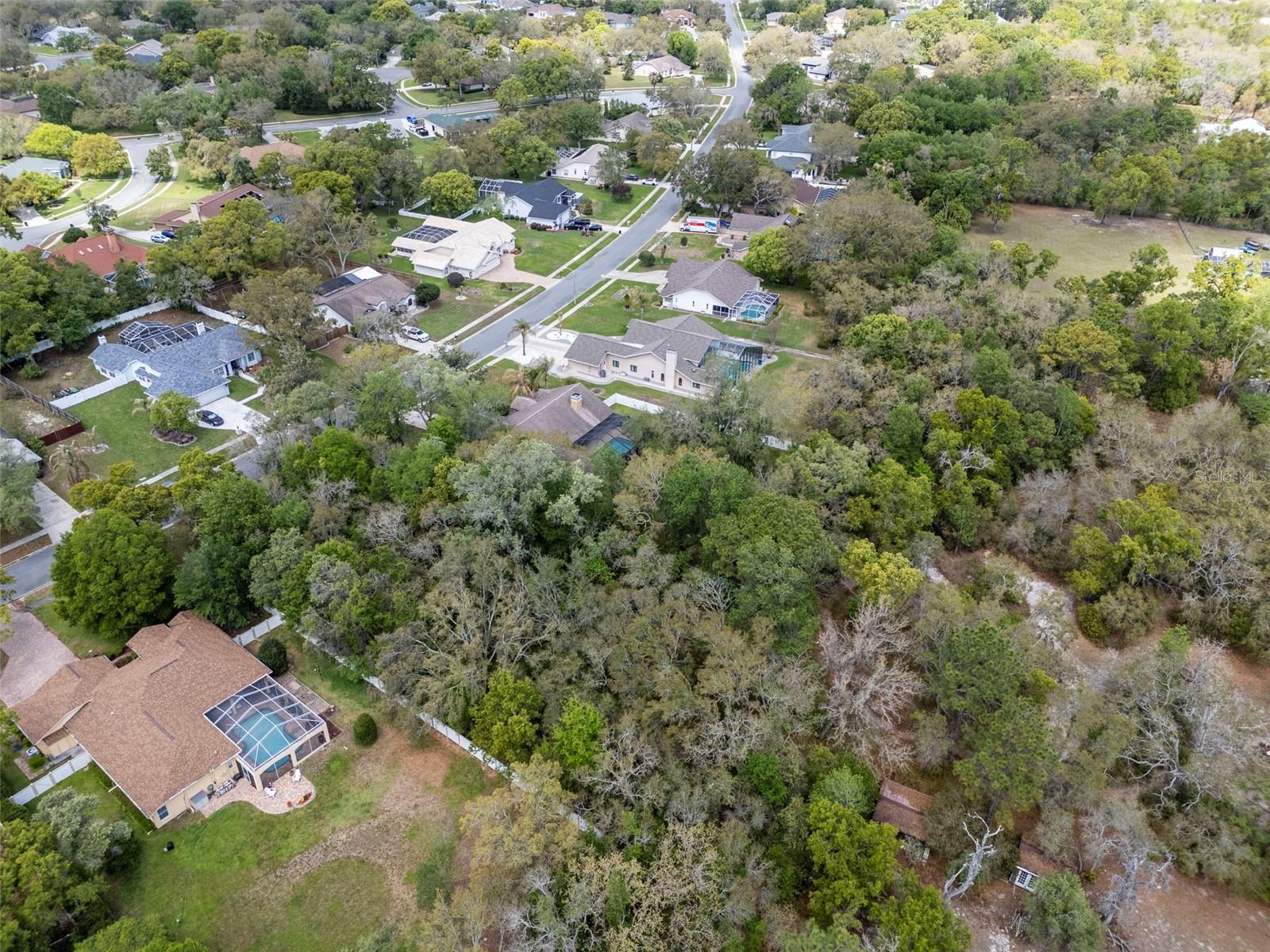 Lot 111 Winding Oaks Boulevard, FL